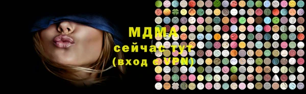 индика Алексин