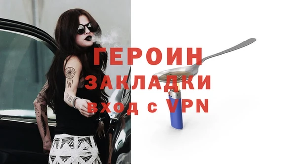 индика Алексин