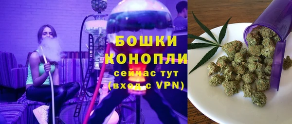 ПСИЛОЦИБИНОВЫЕ ГРИБЫ Арсеньев