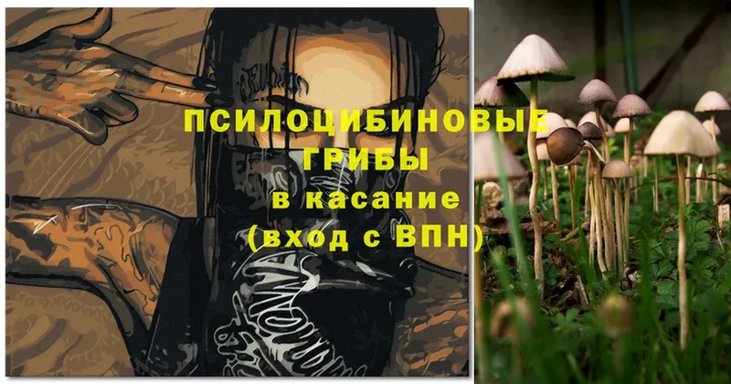 Псилоцибиновые грибы Magic Shrooms  даркнет сайт  Гай 