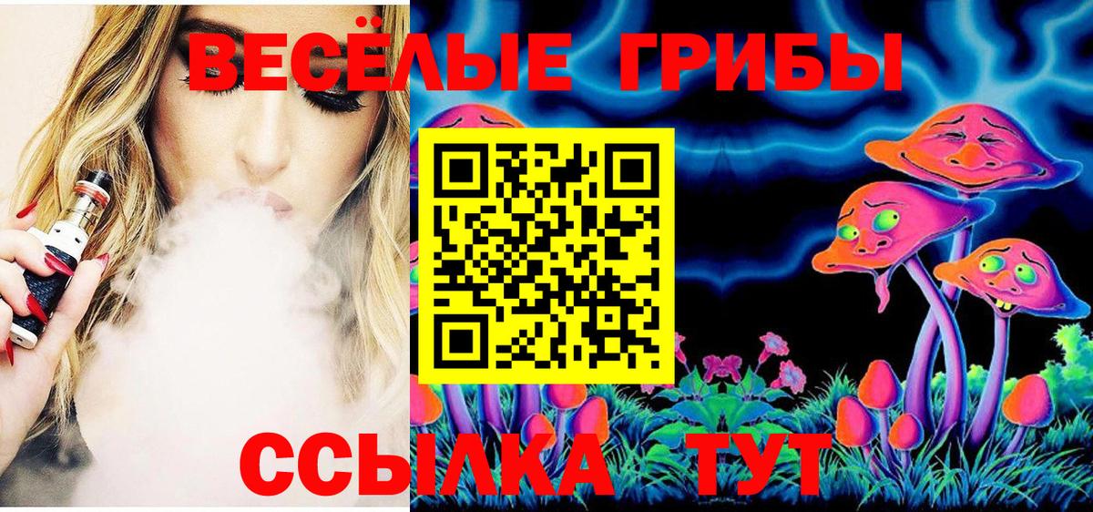 наркотики  Псилоцибиновые грибы Magic Shrooms  Вход с VPN  Галлюциногенные грибы GOLDEN TEACHER  Гай 