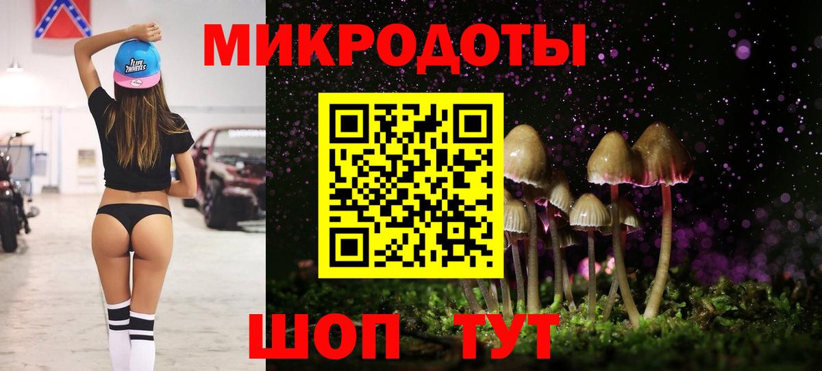 Галлюциногенные грибы Psilocybine cubensis Гай