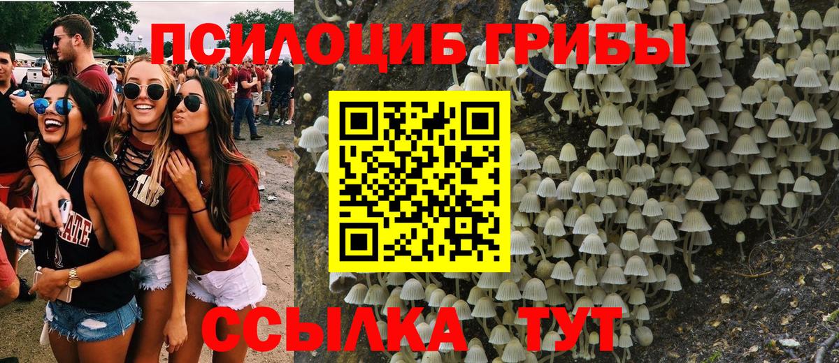 Галлюциногенные грибы MAGIC MUSHROOMS  Гай  где найти   Псилоцибиновые грибы мухоморы 