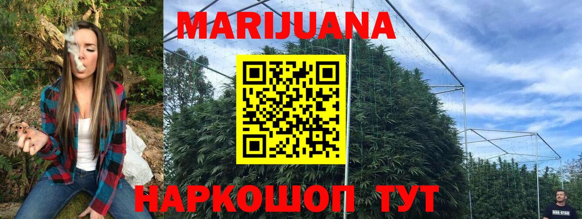 Вейп ТГК Гай