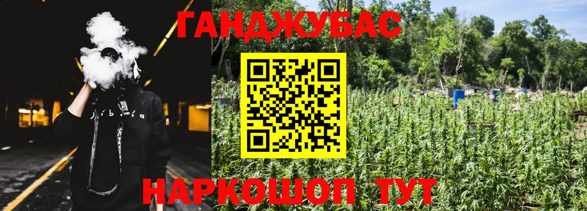 Бошки марихуана семена Гай