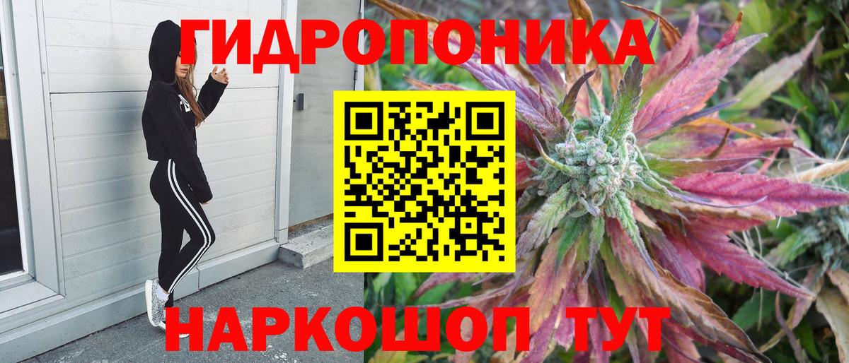 A PVP Гай